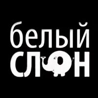 Турагентство белый слон. Белый слон оренбург. Белый слон массажный салон мытищи. Белый слон оренбург. Белый слон оренбург.
