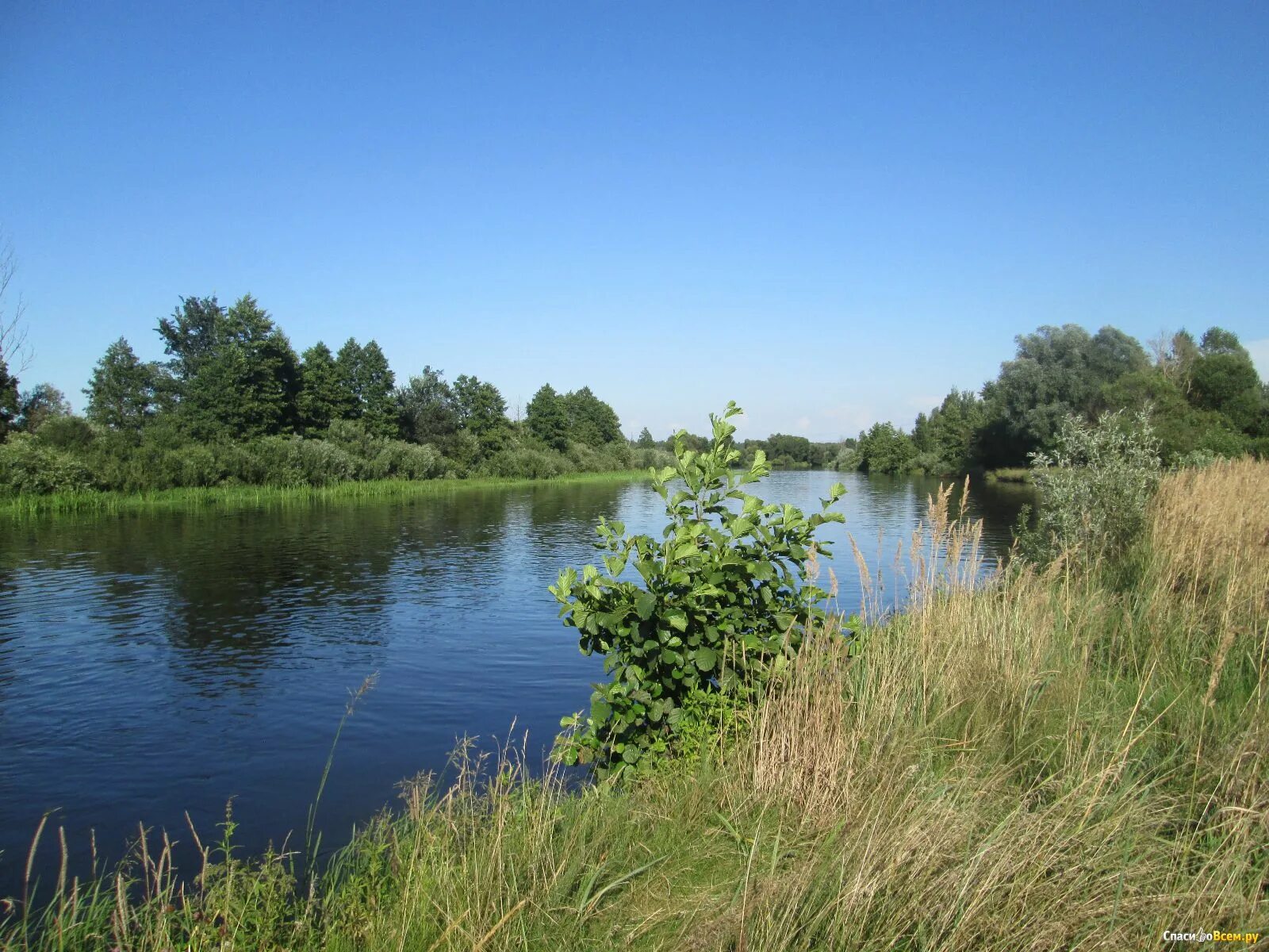 станция птичь гомельская область. деревня птичь петриковский район. старые кацуры петриковский район. багримовичи. птичь агрогородок.