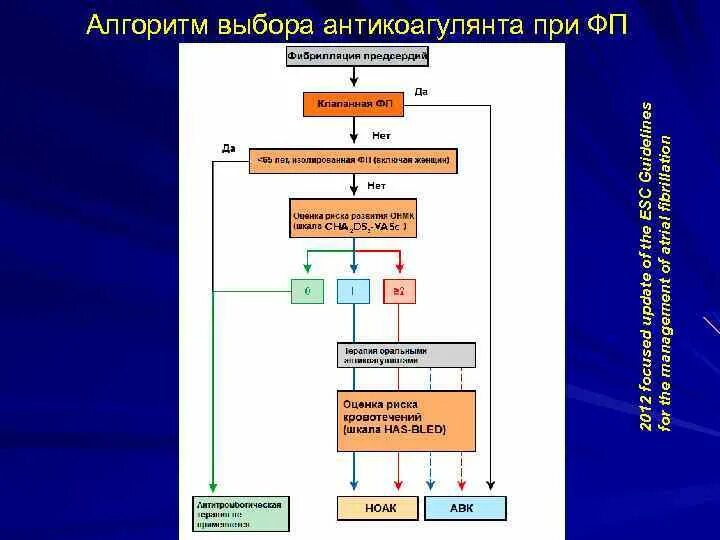 Тромб при фибрилляции предсердий. Выбор антикоагулянтной терапии при фибрилляции предсердий. антикоагулянты при фибрилляции предсердий. выбор антикоагулянта при фибрилляции предсердий. назначение антикоагулянтов при фибрилляции предсердий.