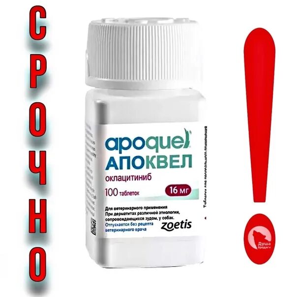 Апоквел 16 купить спб. Апоквел 16 мг. Апоквел 16 мг 100 шт. Апоквел 5.4.