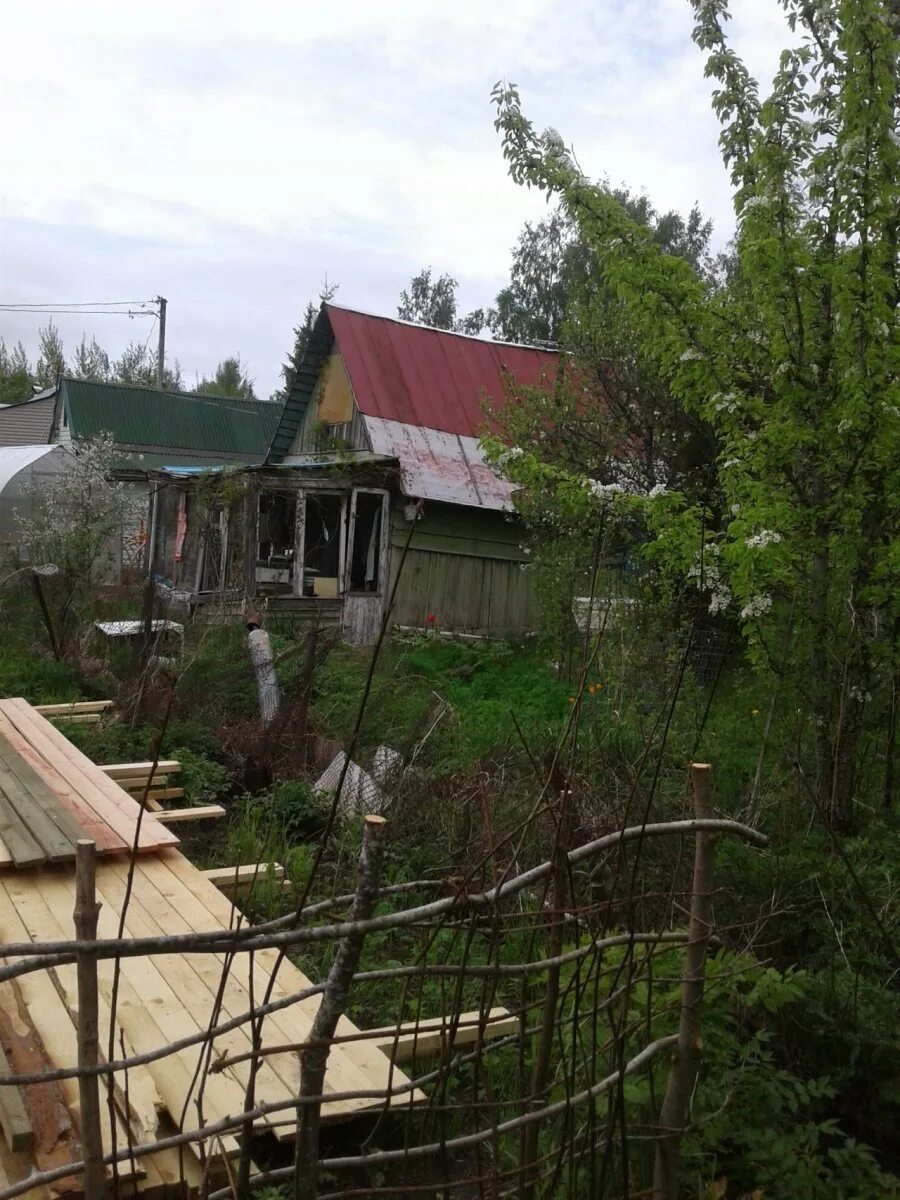 Кп услада. Участки пеники ломоносовский. Пеники фото. Участки пеники ломоносовский. Деревня пеники ленинградская область.