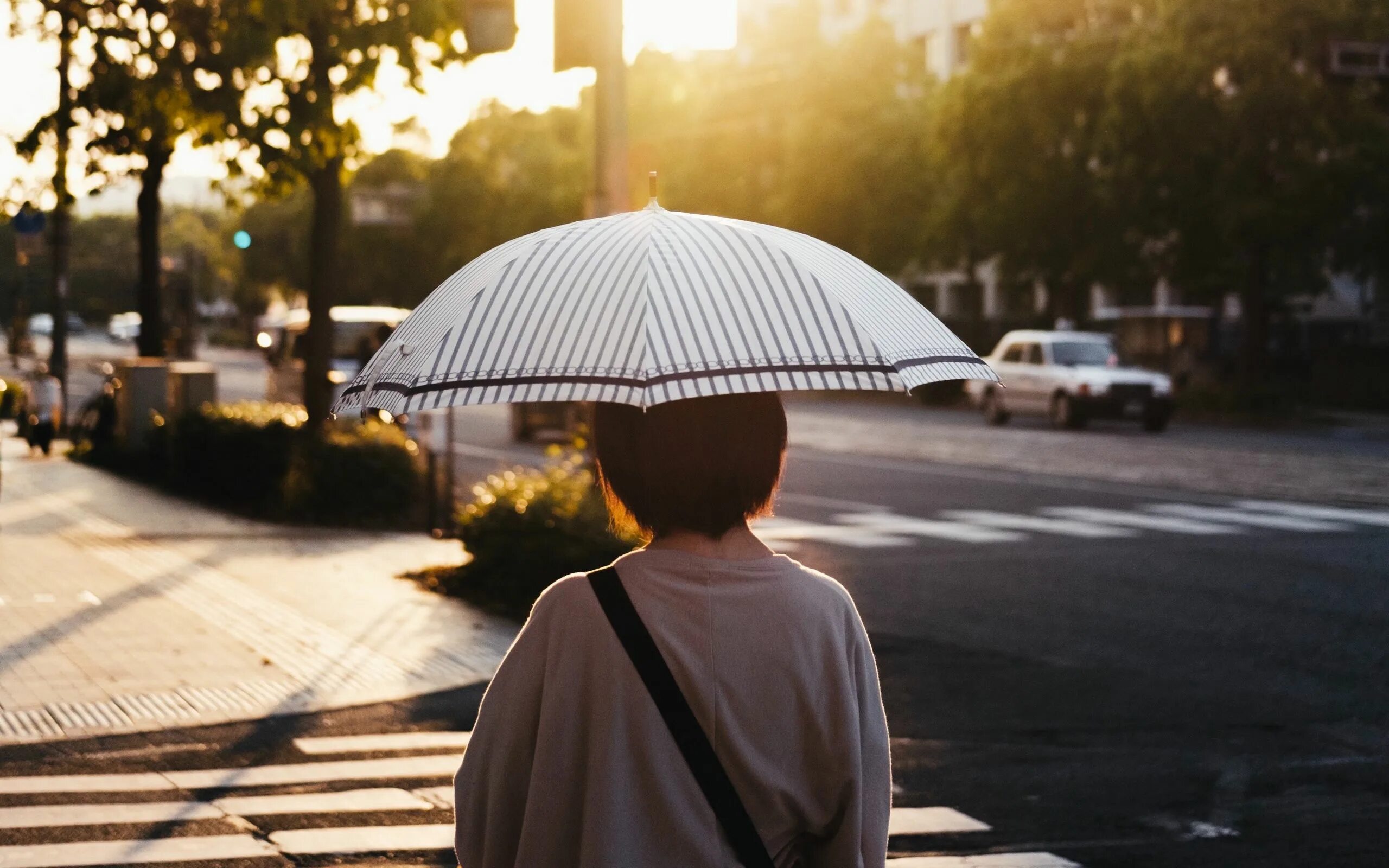 Потому что на улице солнце. Человек с зонтом. Человек под зонтом. Люди с зонтами на улице. Человек с зонтом сбоку.