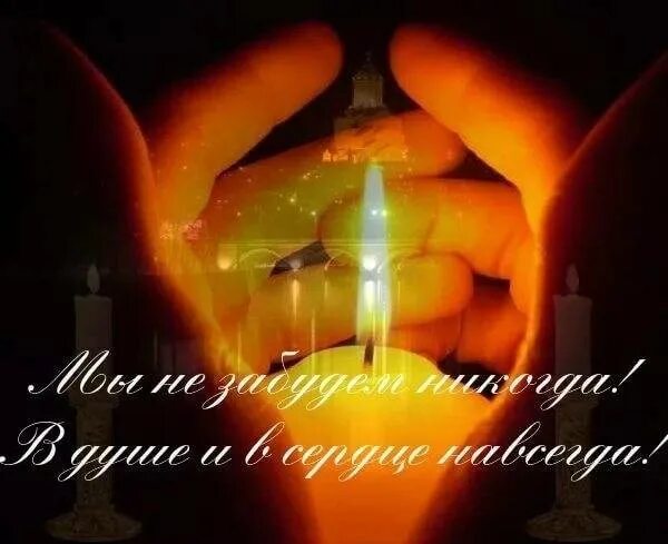 Новости и репортажи