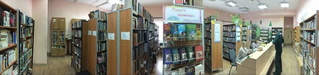 Библиотека 216 школа. Библиотека гагарина юго западная. Библиотека имени гагарина москва. Мичуринский проспект 54а библиотека. Чехов ул.