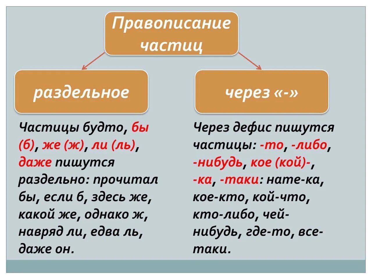 Объясните правописание частиц
