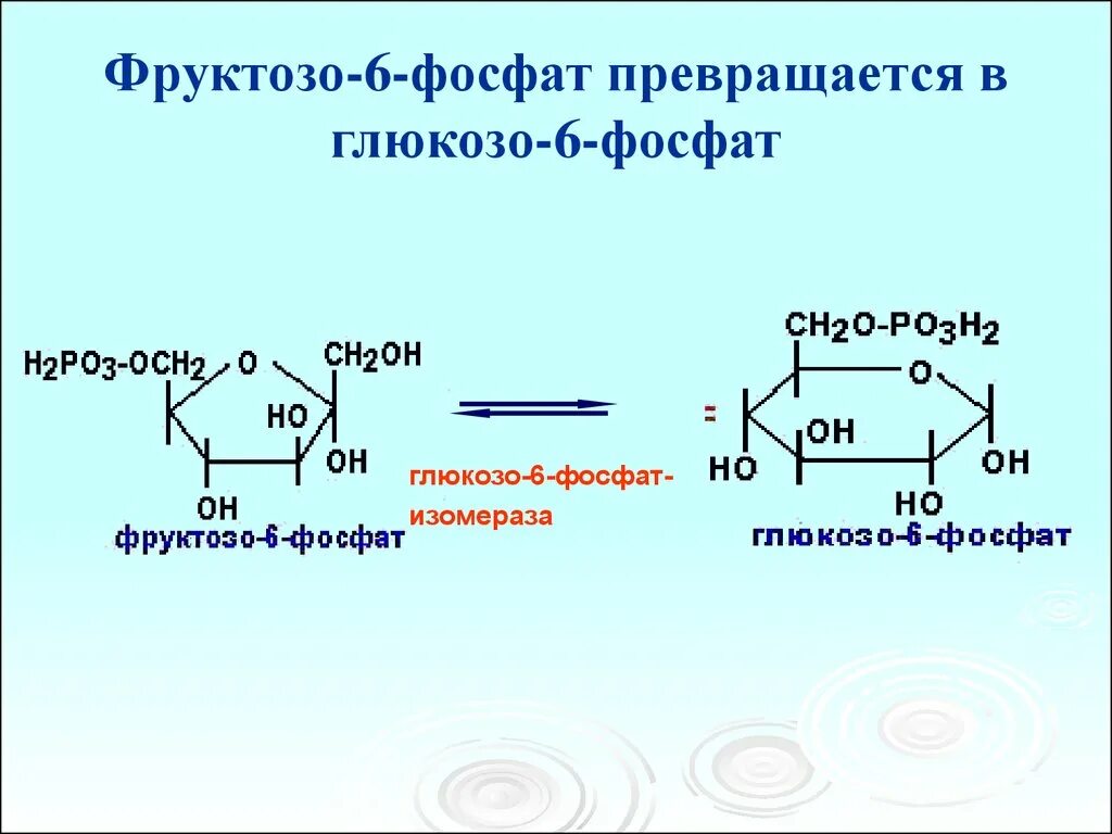 Г 6 ф