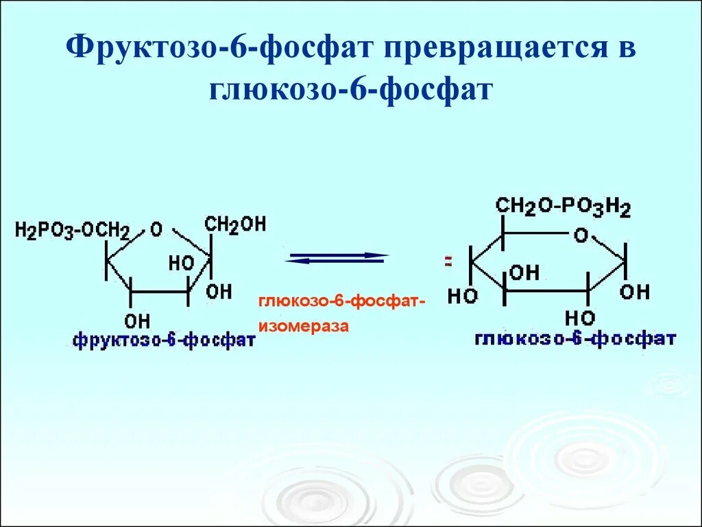 Α, D- глюкозо-6-фосфат. Фруктозо 6 фосфат формула. Фруктоза в фруктозо 6 фосфат. Изомеризация глюкозо-6-фосфата в фруктозо-6-фосфат.