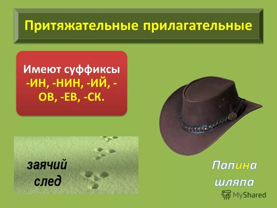 Местоимение, которое отвечает на вопросы чей?, чья?. Отличие притяжательных местоимений от личных. Папиного притяжательные. Притяжательный падеж существительных во множественном числе. Прилагательное от шляпа.
