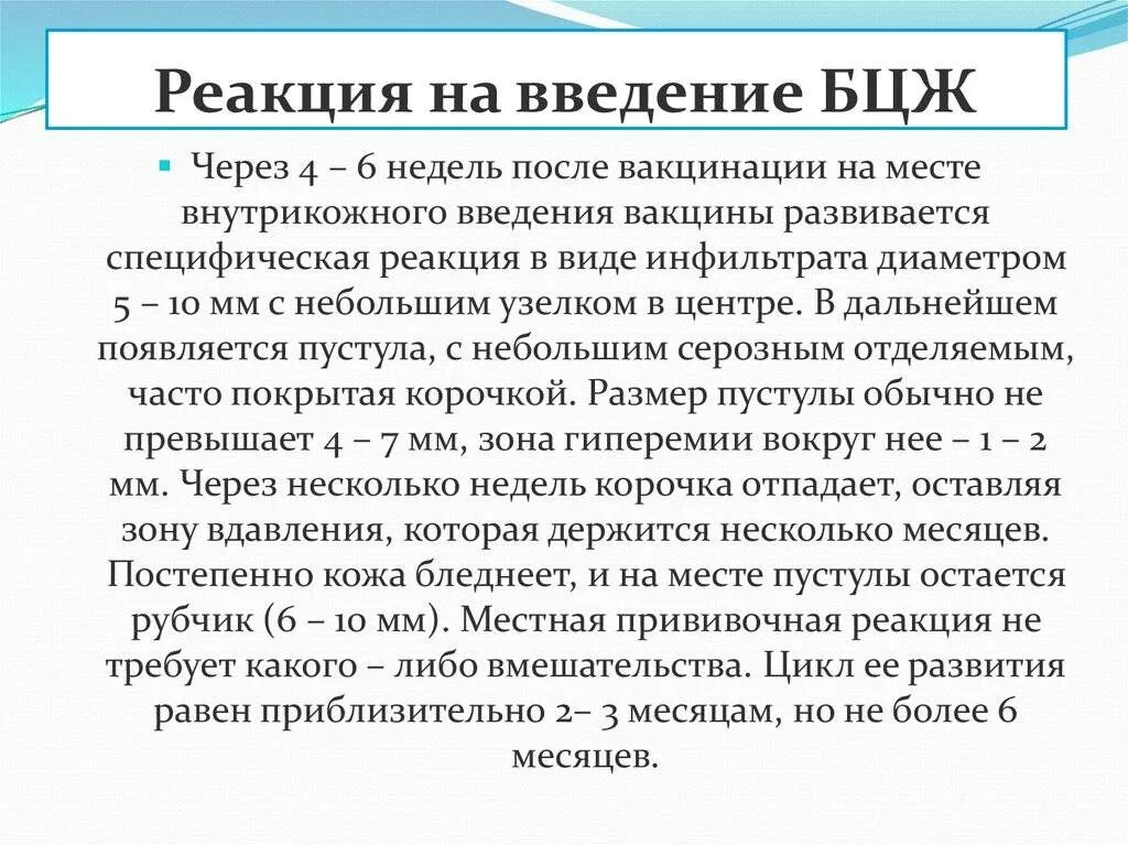 Через 6 месяцев после. Этапы развития реакции БЦЖ. Реакция на Введение вакцины БЦЖ. Реакции на месте введения вакцины БЦЖ:. Местная реакция на Введение БЦЖ.