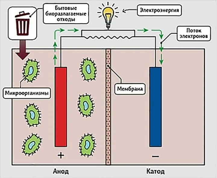 Микробный топливный элемент схема. Микробный топливный элемент принцип работы. Микробные биотопливные элементы. Микробный топливный элемент как выглядит.