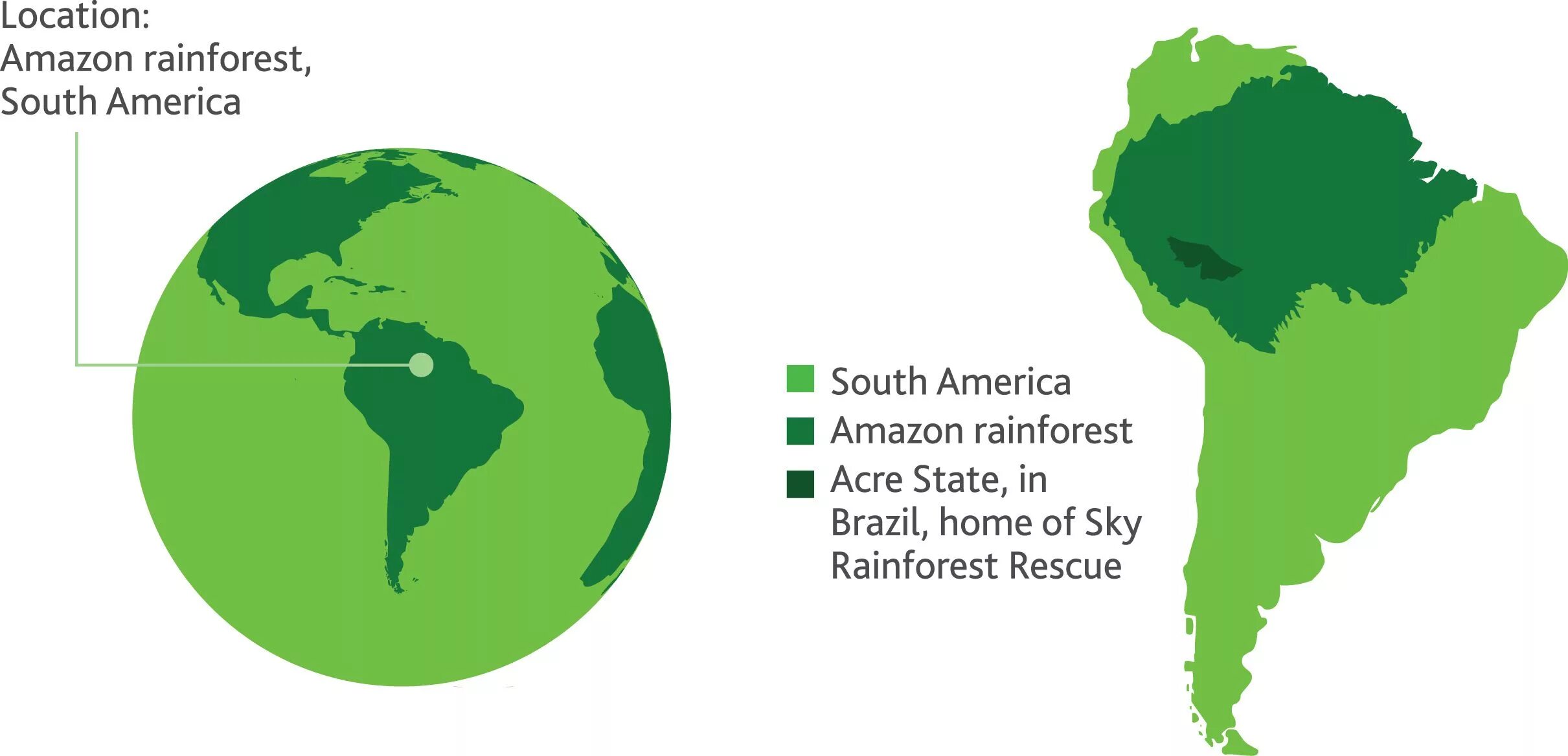 Страны без лесов. Тропические леса Южной Америки на карте. Тропические леса амазонки на карте. Карта лесов Амазонии. Экваториальные леса Амазонии на карте.