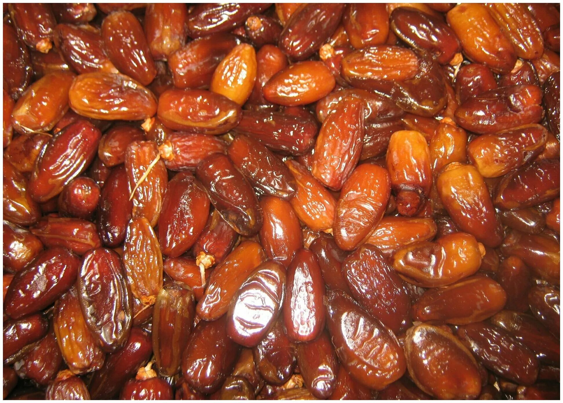 финики израильские королевские. сорт деглет нур финики. финики medjoul jumbo. финики алжир. новые финики.