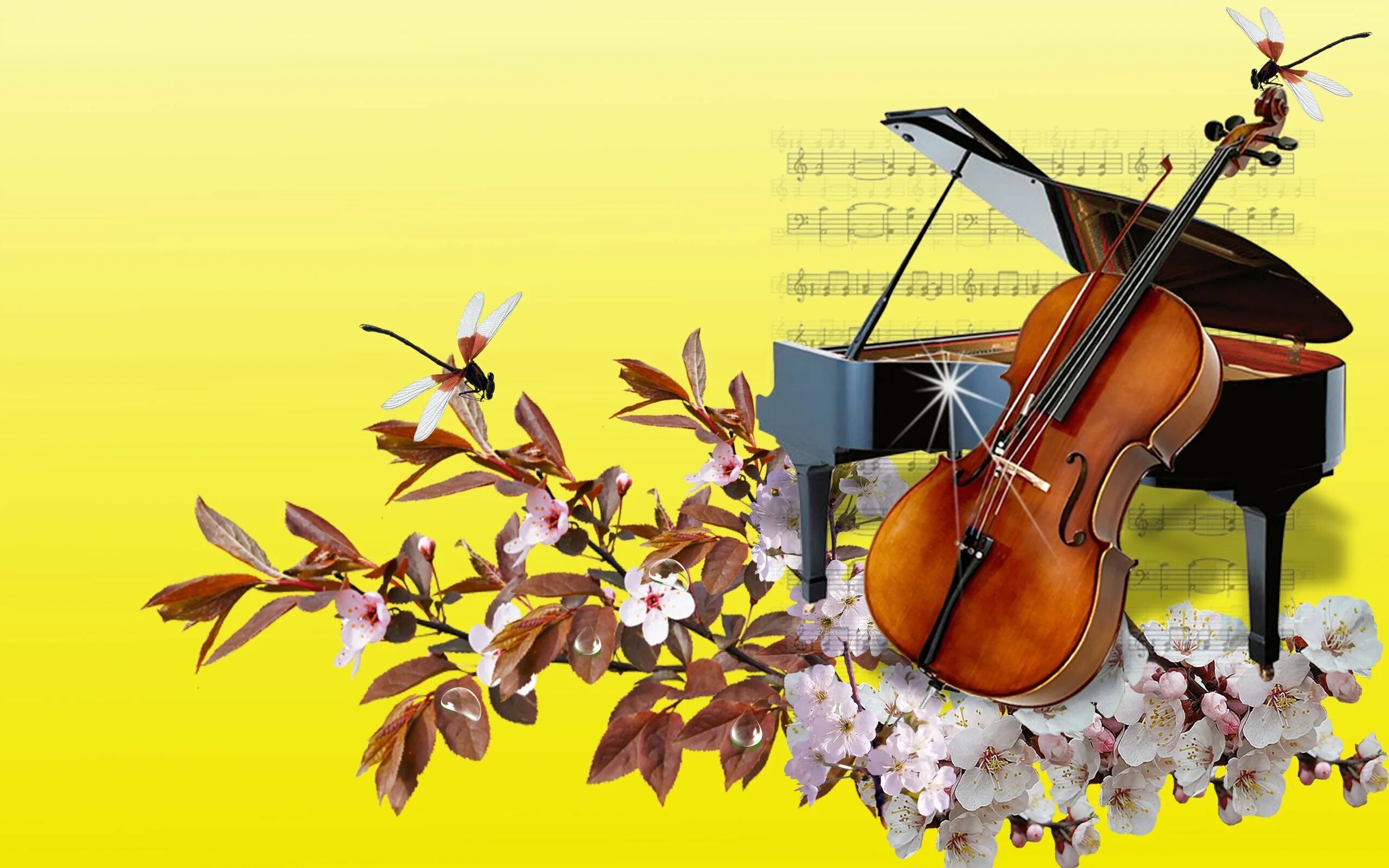 Мелодии без слов скрипка. Музыкальные инструменты и цветы. Музыкальные картинки. Скрипка фон.