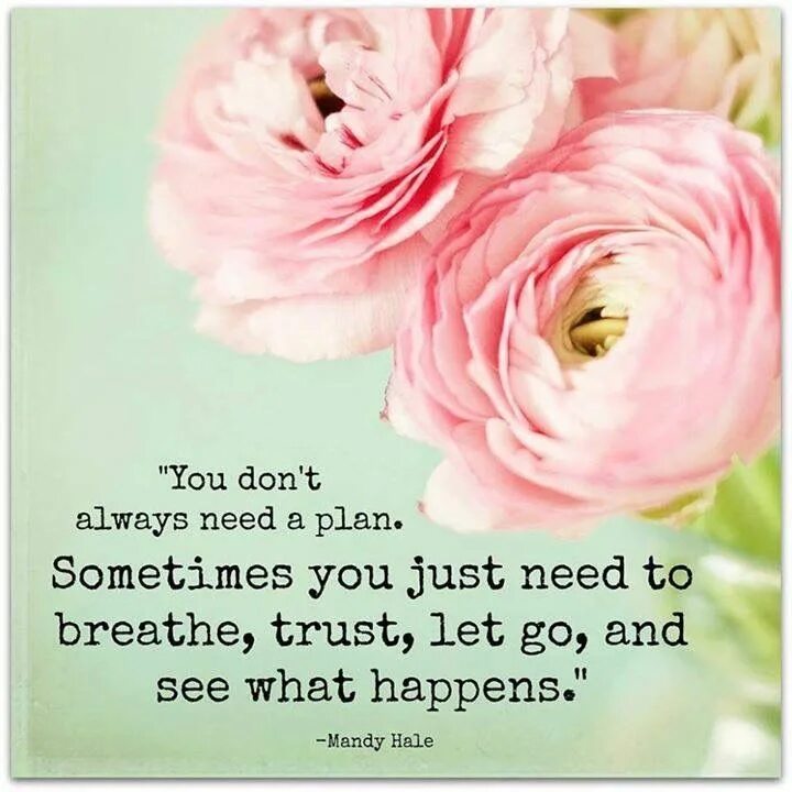 Is just what you need. Is just what you need