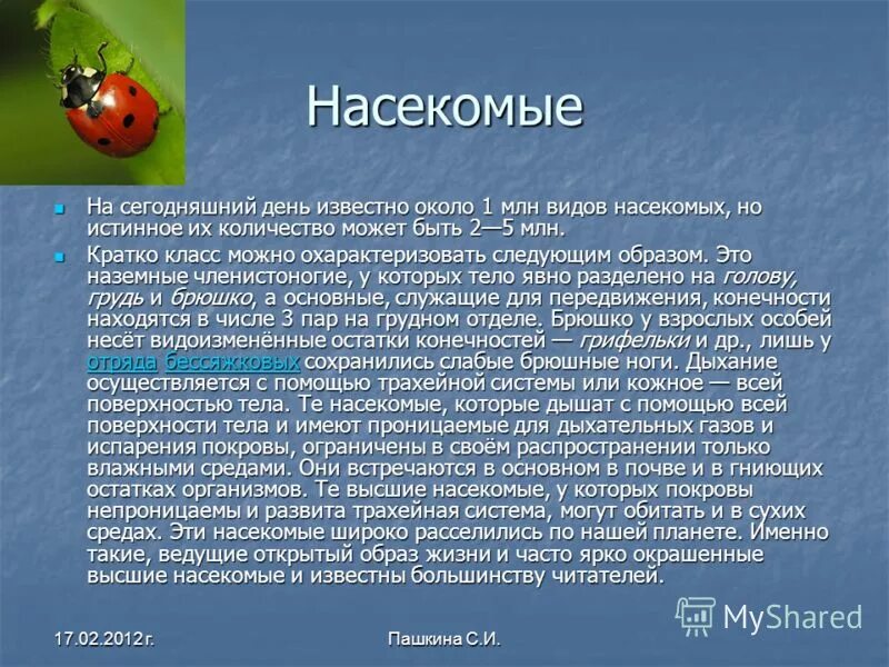 ротовой аппарат прямокрылых насекомых. ногохвостки строение. внутреннее строение комара схема. сравнение внутреннего и наружного скелета. внешнее строение пчелы.