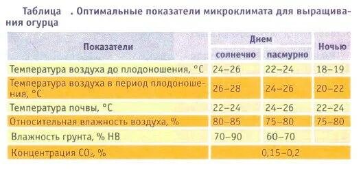 Температура почвы ночью. Какая температура в теплице для огурцов. какая оптимальная температура в теплице для огурцов. оптимальная температура почвы для огурцов. температура почвы для огурцов.