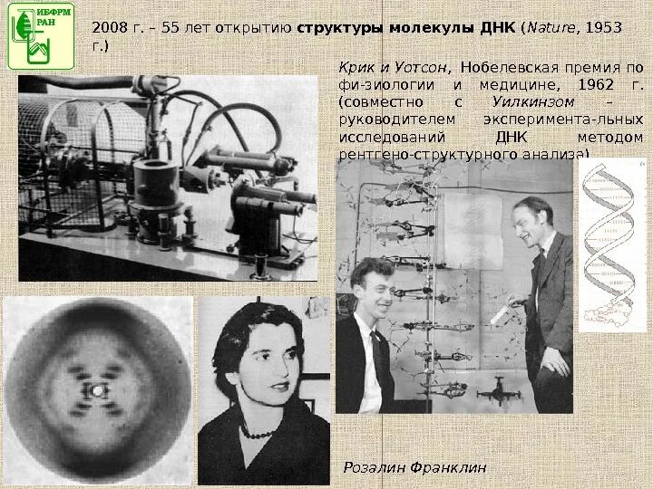 Открытые структуры днк. Уотсон и крик открыли структуру ДНК. Открытие трехмерной молекулярной структуры ДНК. История открытия структуры ДНК. Открытие структуры молекулы ДНК.