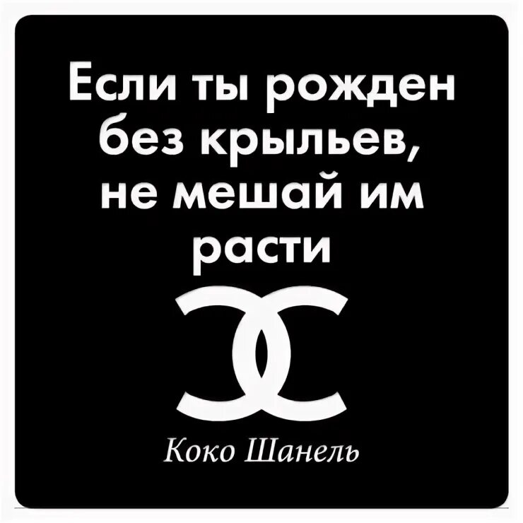 Кабаева мемы. Она просила не мешать ей. Иногда хочется избавиться от совести. Цитаты про дрифт. Она просила не мешать ей.