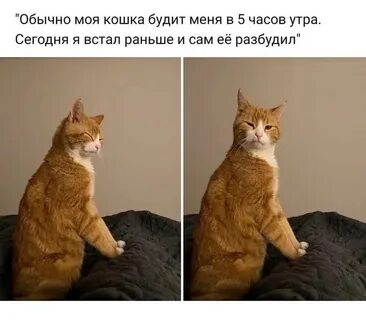 Будите на месте