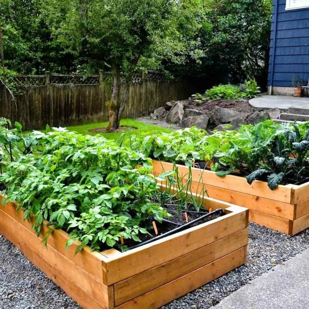 Грядки 48. Садовое обозрение. Грядки 48. Ограждение финская грядка м4701. Грядки из дерева своими руками.