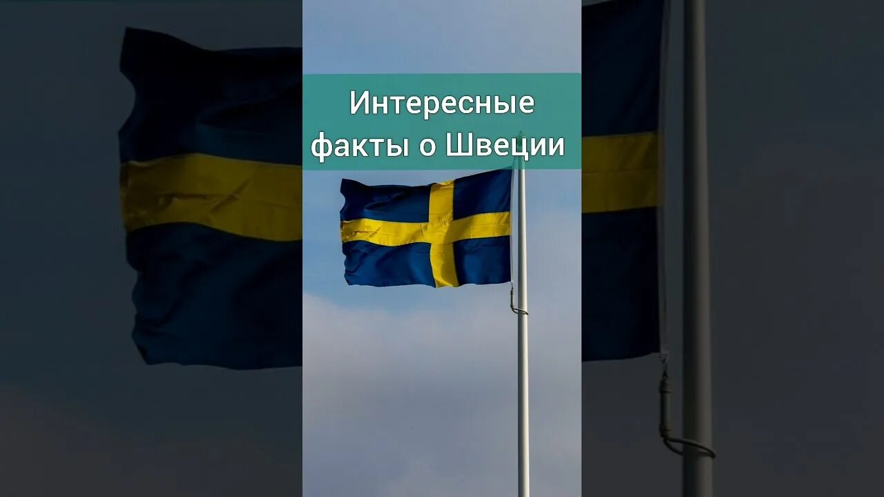 Интересные факты про швецию. Интересное о Швеции. Самые интересные факты о Швеции. Интересные и необычные факты о Швеции. Швеция интересные факты для детей.