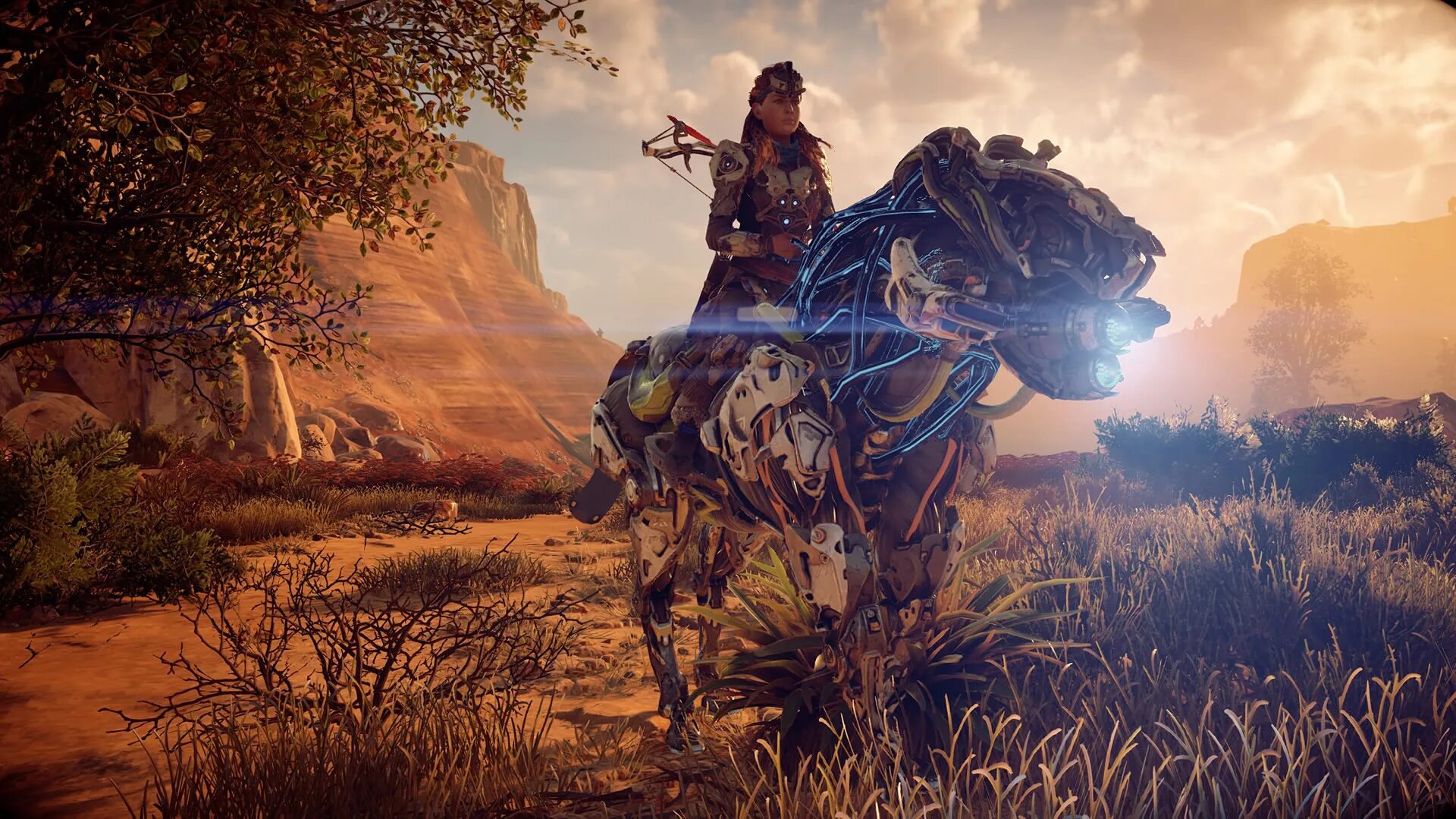 Игра Horizon Zero Dawn. Харайзон Зира Дон. Хорайзон 2. Элой Horizon. Купить horizon pc