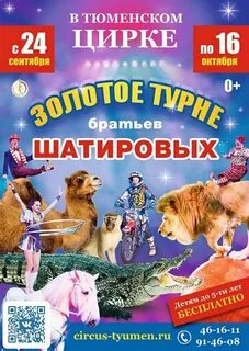 Программа цирка в тюмени