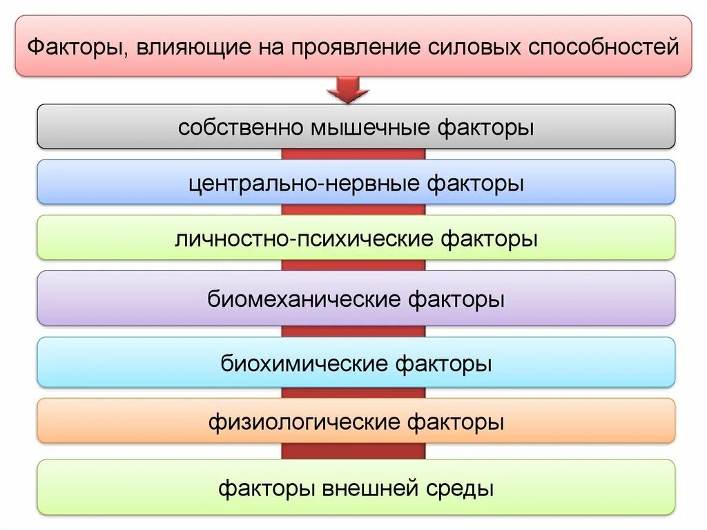 Факторы определяющие развитие способностей. Проявление силовых способностей. Факторы силовых способностей. Факторы проявления силовых способностей. Факторы которые влияют на развитие силовых способностей.