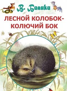 Сказки леса слушать