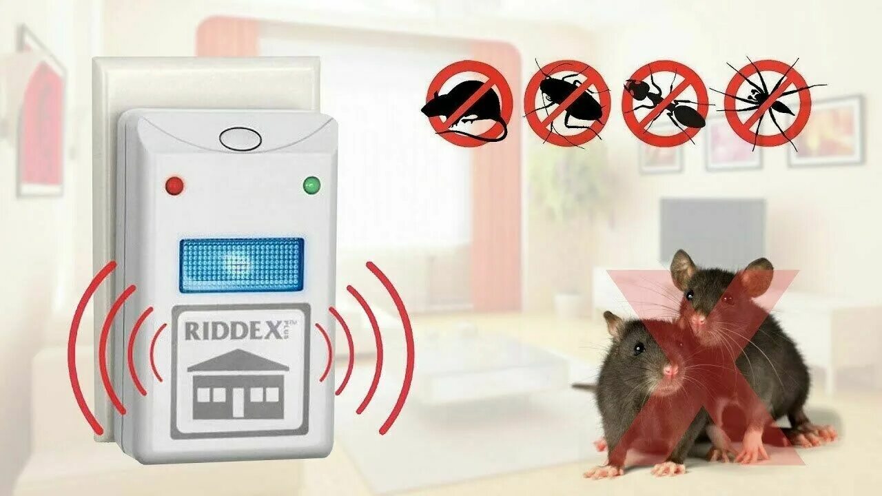 Riddex отпугиватель. RZ-598 отпугиватель от насекомых Electric Pest Repeller. Включить отпугиватель мышей