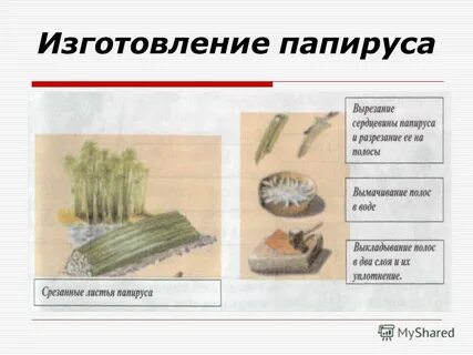 Правильная последовательность изготовления папируса