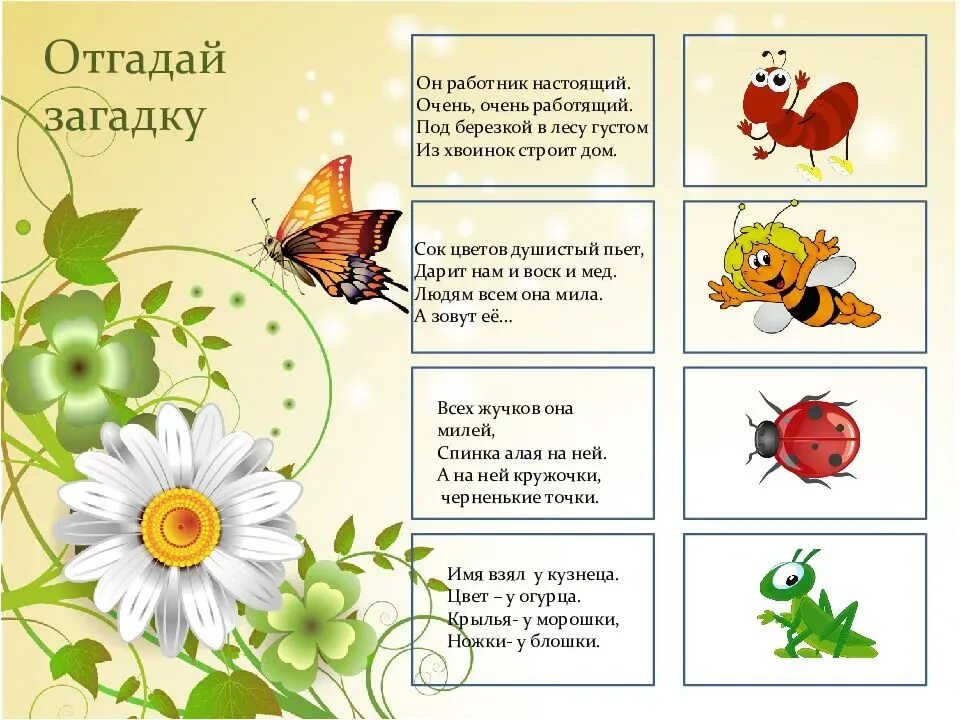 Загадки про цветы для дошкольников. Загадки про насекомых для малышей. Загадки на тему насекомые. Загадки про насекомых для дошкольников. Загадки протеасеуомых доя лете.