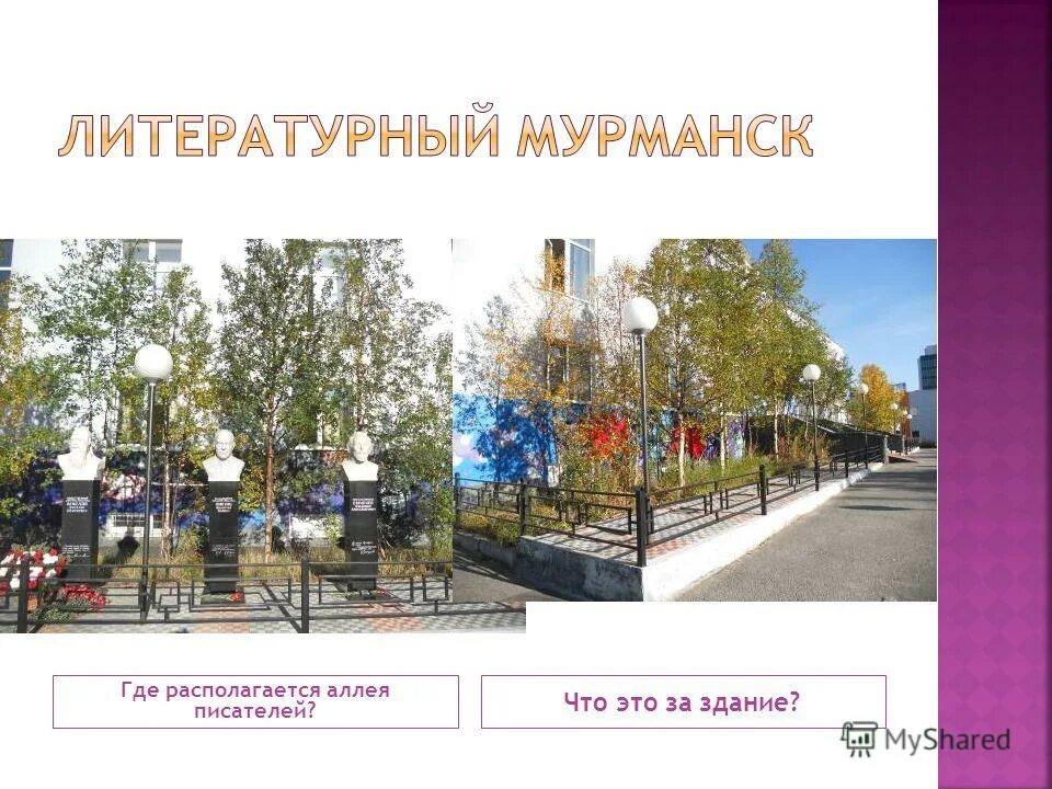 аллея набережной реки мойки. рамповая аллея в царском селе. липовая аллея ропшинский парк. марсово поле аллея сердец. где находится аллея в мурманске.