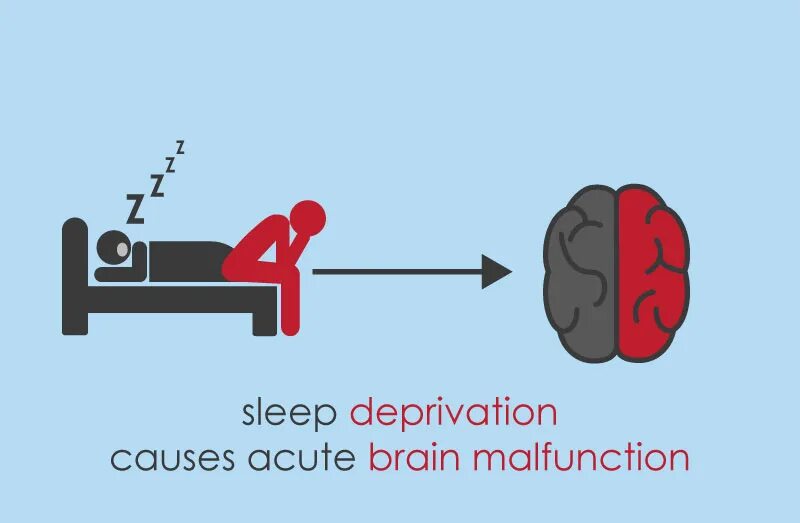 Сон и мозг. Sleep Deprivation Attack: схема.