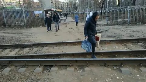 Расписание лось подлипки дачные сегодня