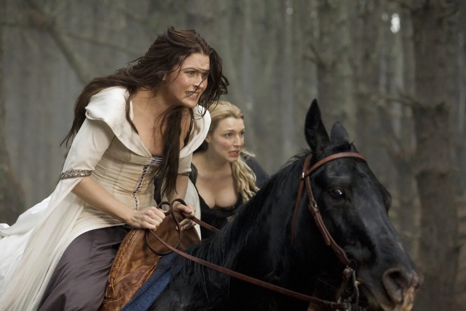 искатель истины ричард сайфер. гранин д. искатели краткое содержание. фентон эш книги. эдит несбит искатели сокровищ.