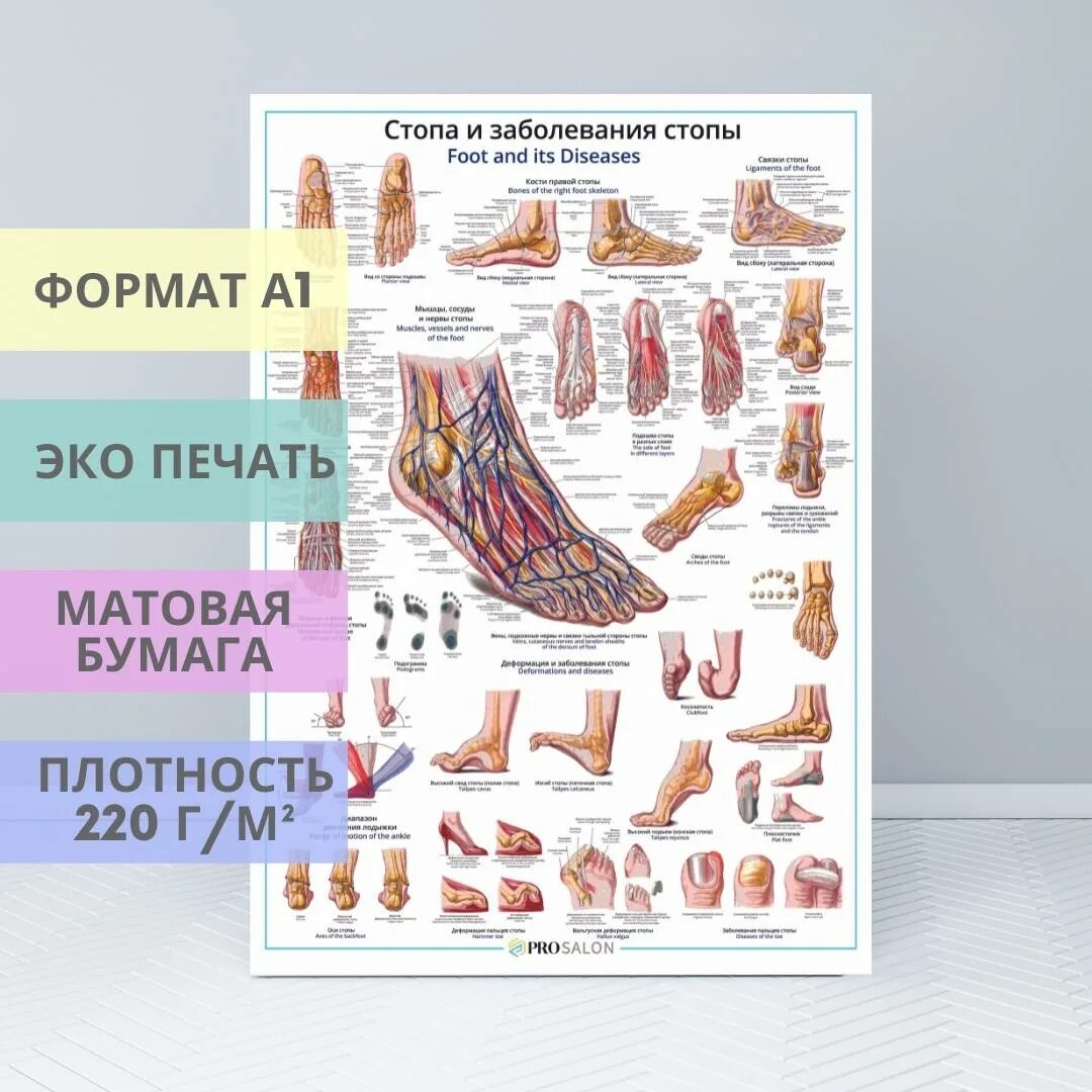 Плакаты стоп. Стопа и заболевания стопы плакат. Плакаты для подолога. Плакат нарушения стопы. Плакаты для кабинета подологии.