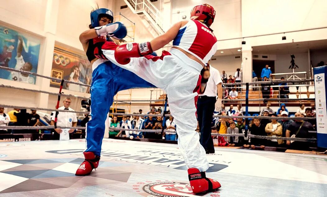 Kick box. Кикбокс WAKO. Кикбоксинг фото. Кикбоксинг фотоклипарт. Кикбоксинг популярная.