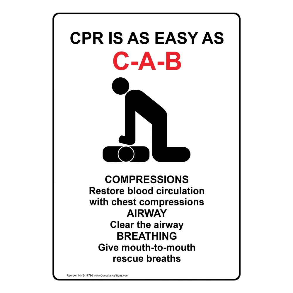 Cpr перевод. Avs407cpr. CPR текст.