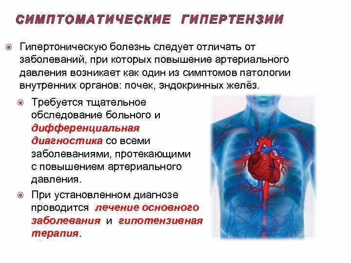 Патология ад. Артериальная гипертензия и гипертоническая болезнь. Артериальное давление при гипертонической болезни. Гипертоническая болезнь, симптоматические гипертонии.. Изменения сердца при артериальной гипертензии.