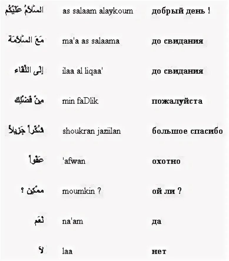 Арабские слова для начинающих с транскрипцией. Слова на арабском для начинающих с транскрипцией на русском. Слова на арабском языке с переводом и транскрипцией. Арабские слова для начинающих. Что означает с арабского на русский