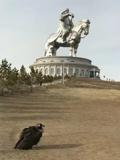 Статуя в цонжин болдоге