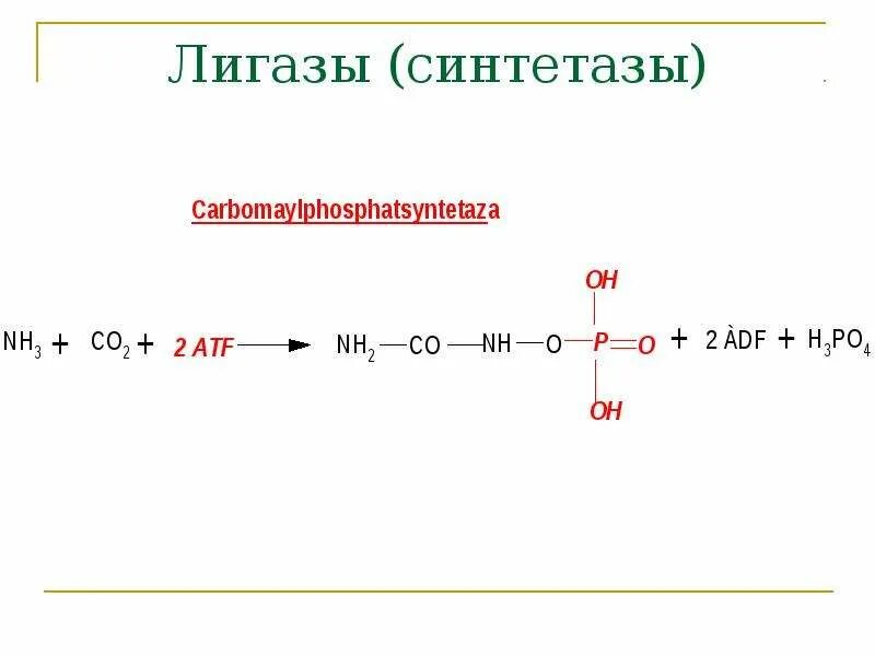 Лигазы примеры. Лигазы (синтетазы). лигазы ферменты. лигазы подклассы.