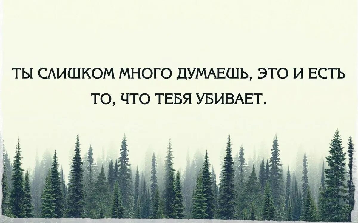 Живите в этом мире сами. Верь в лучшее цитаты. Хорошие цитаты. Цитаты много. Верить в лучшее цитаты.