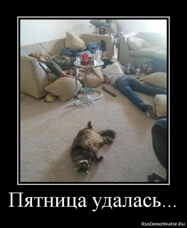 Спокойной ночи пятница. Пятница демотиваторы. Всем спокойной ночи. Наконец то пятница. Пятничные демотиваторы.