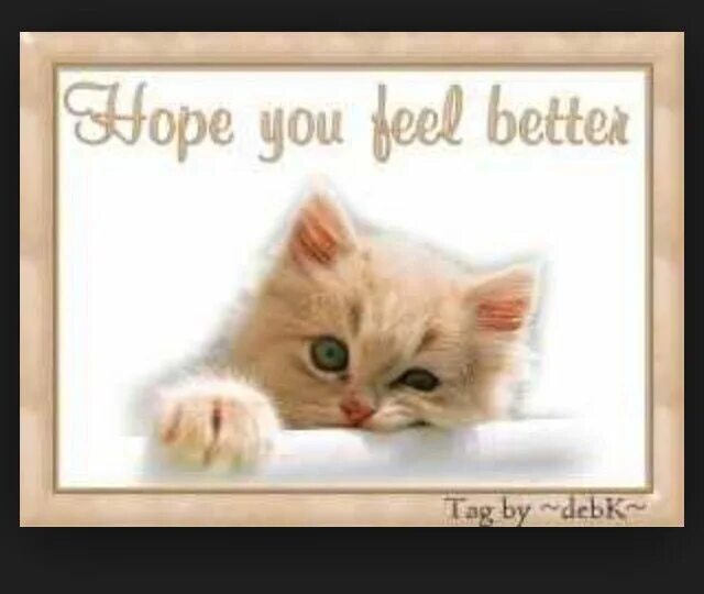 We hope you re doing well. Get well soon cat. bon rétablissement картинки. get well soon with cats.