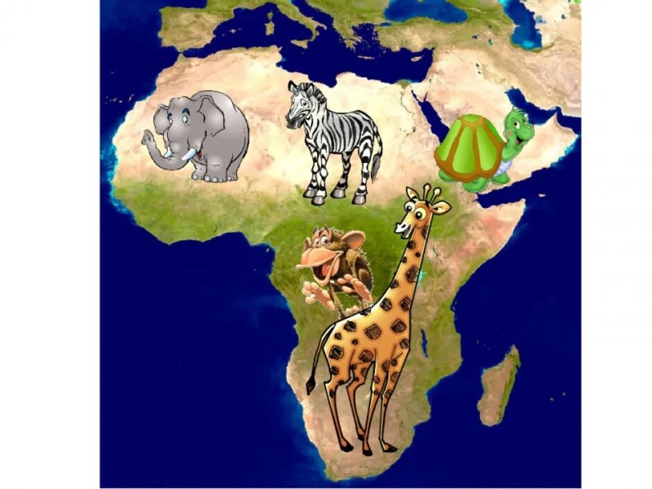 Места обитания животных. Путешествие по Африке для дошкольников. Путешествие в Африку рисование. Животные разных континентов.