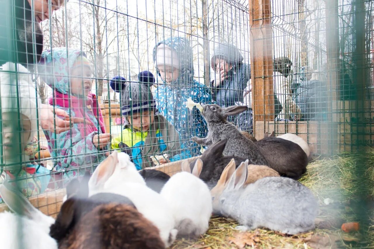 Николаевский парк. Зооуголок Ковчег Чебоксары. Парк Николаева Чебоксары зооуголок. Парк Николаева в Чебоксарах зоопарк Ковчег. Зоопарк в Чебоксарах в парке Николаева.