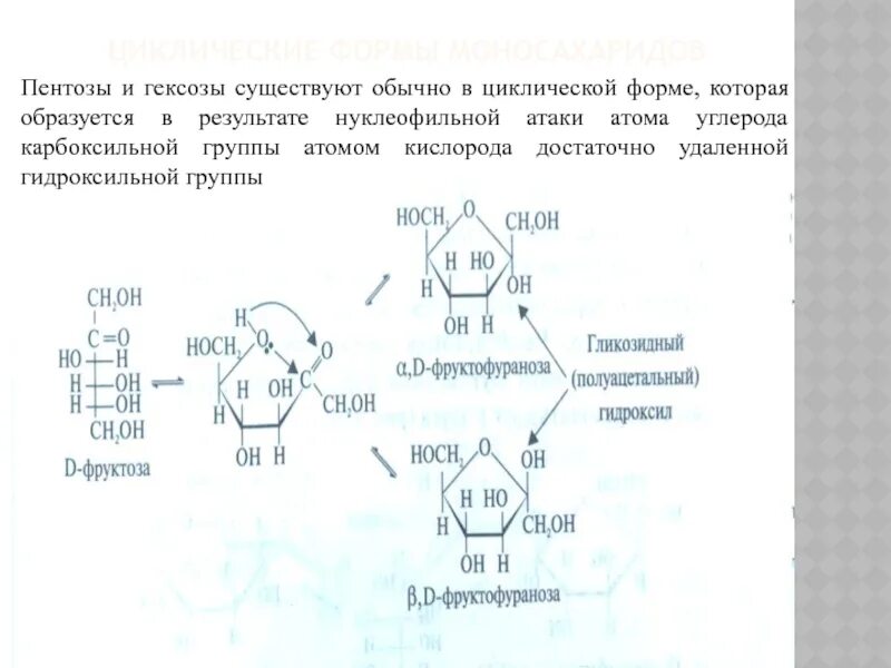 Фруктоза гидроксильная группа. Моносахариды пентозы гексозы. Циклические структуру пентозы. Структура пентозы. Схема пентозы.