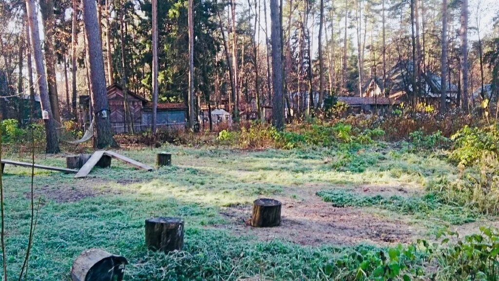 Поселок кратово. Участки в кратово раменский. Участки в кратово раменский. Кратово улица академическая. 28.